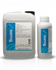 Imagen de SCUDO 