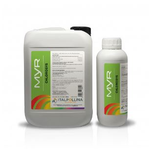 Imagen de MYR CLOROSIS